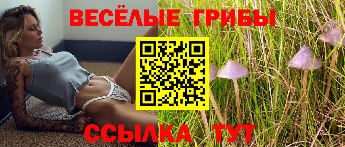 наркота  Вход с VPN  Заречный  Галлюциногенные грибы ЛСД 