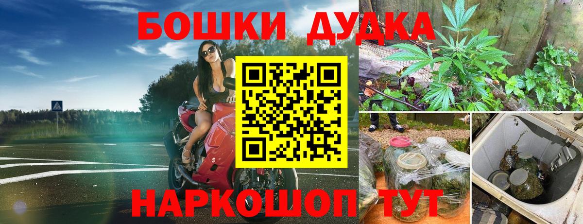 Канабис Bruce Banner  Канабис ГИДРОПОН  Вход с VPN  Заречный 